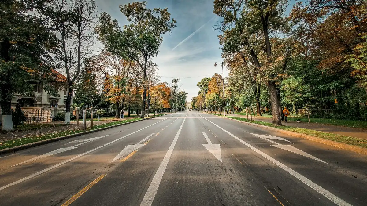 gray asphalt road between green trees under blue sky during daytime