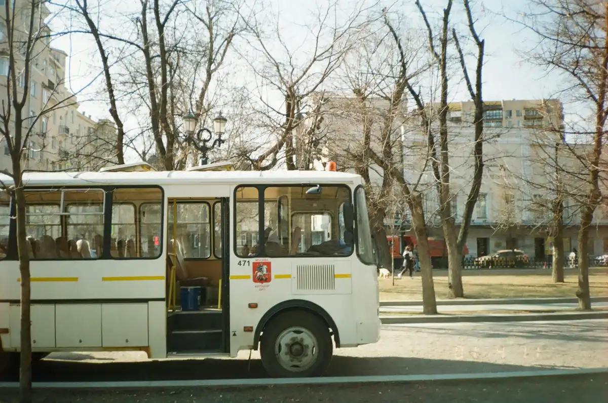 white and red bus on road during daytime