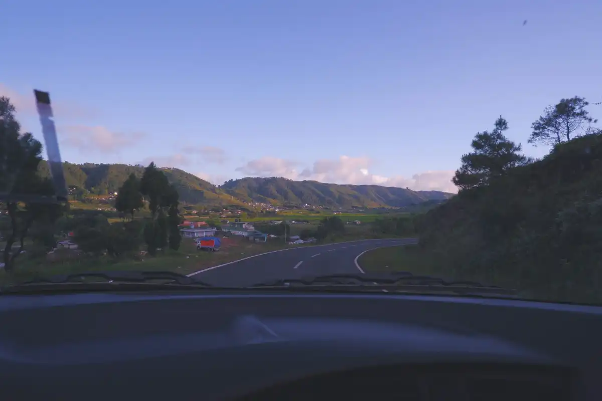 a road with trees and mountains in the background
