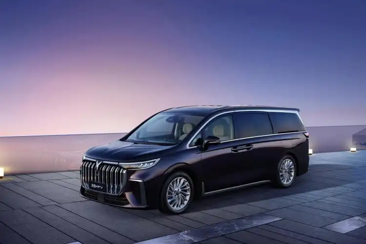 من يملك فوياه: كل ما تحتاج معرفته عن فوياه