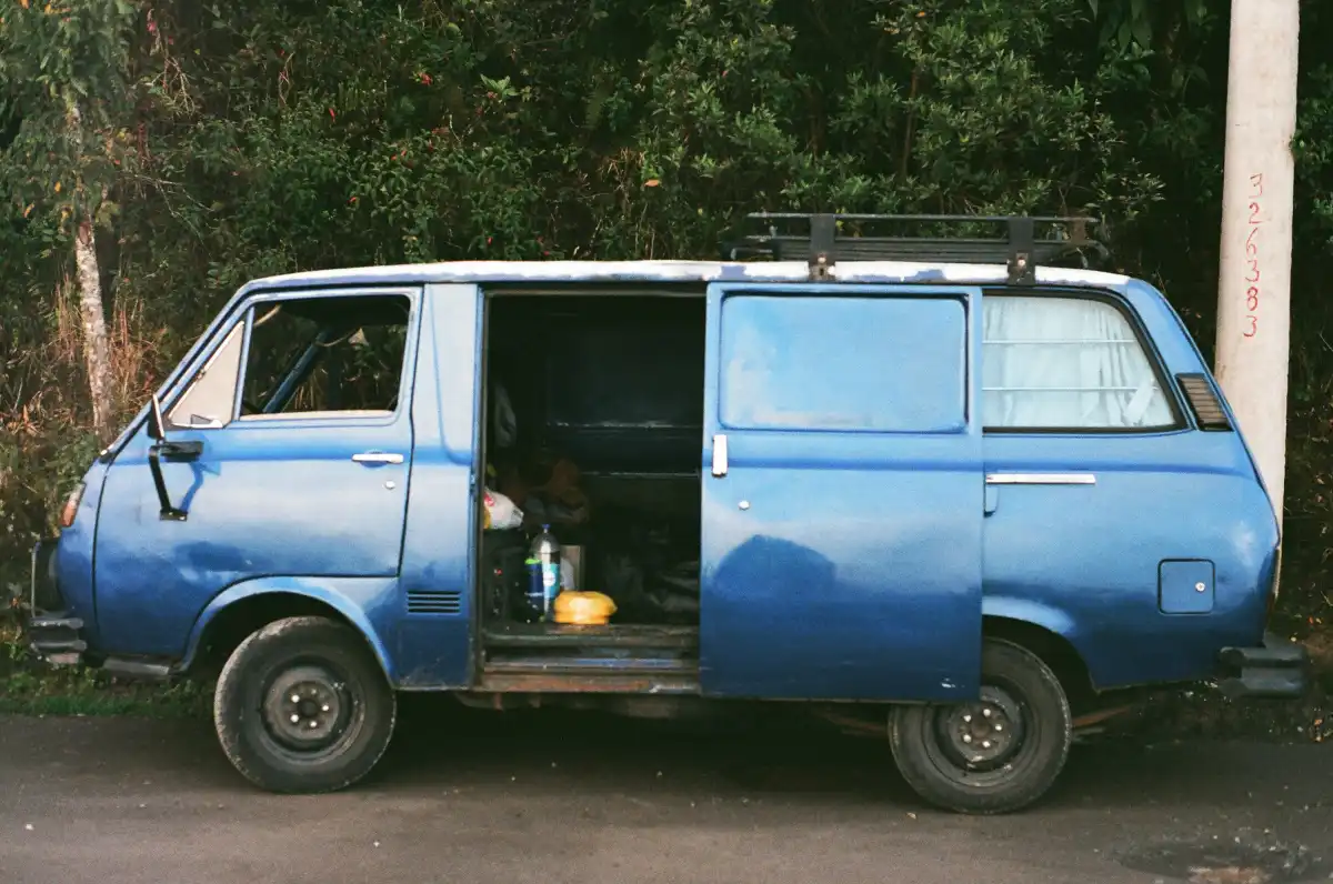 blue van parked near green tree during daytime