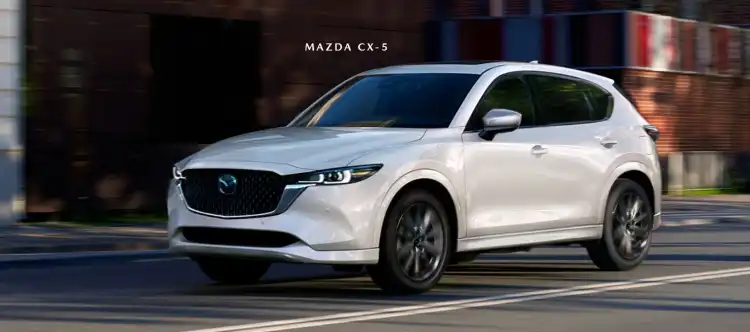 مجموعة الأخبار الشائعة لـ 13