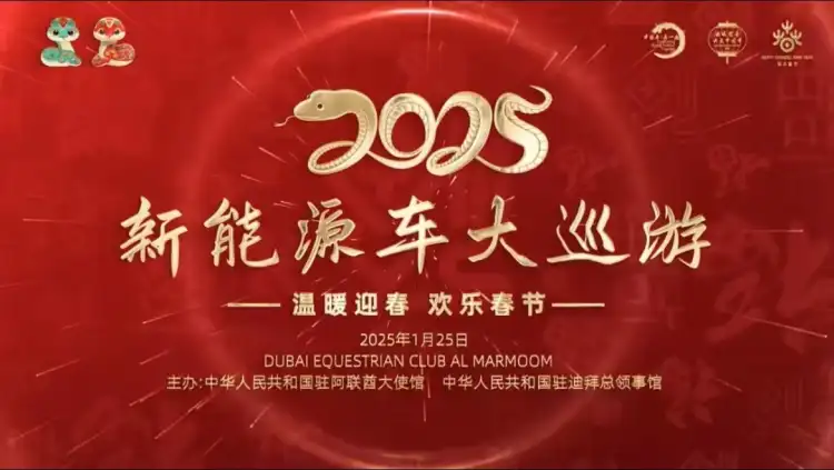 2025 New Energy Vehicle Grand Parade - New energy vehicles are in place (Phase 1)