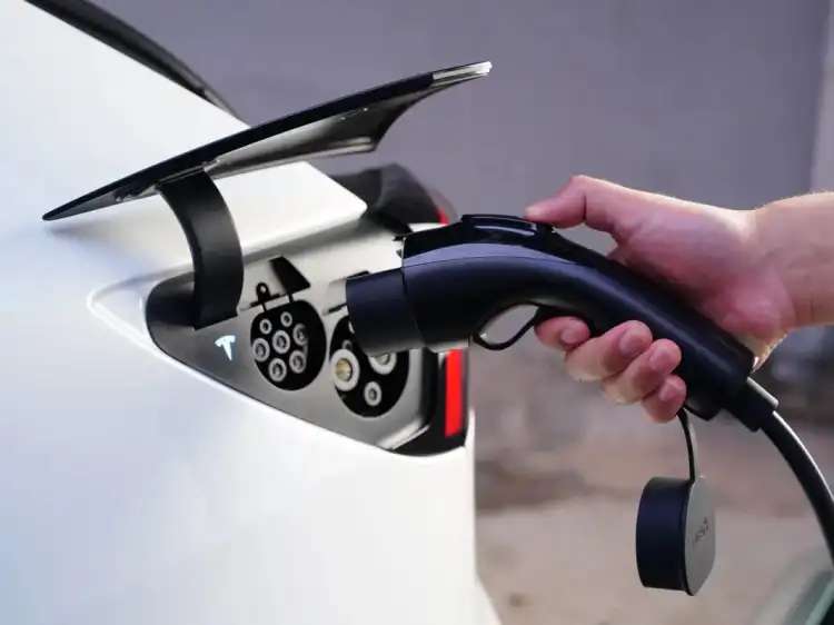 NEV Insurance Fees: 30% of Vehicle Price Per Year?