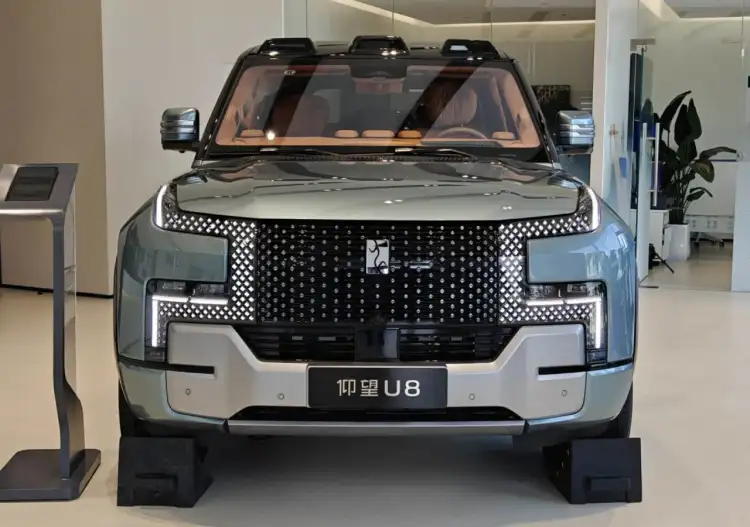 هل نرى بي واي دي يانج وانج يو 8 بسبعة مقاعد قريباً