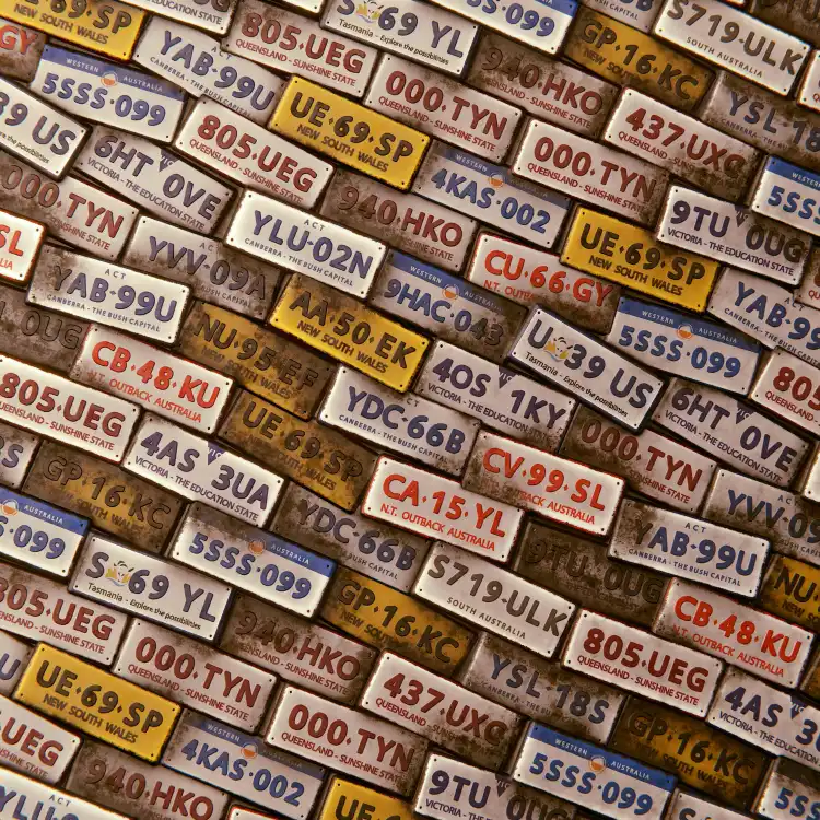 The Fastest Way to Get Your Vehicle Plate in 2025