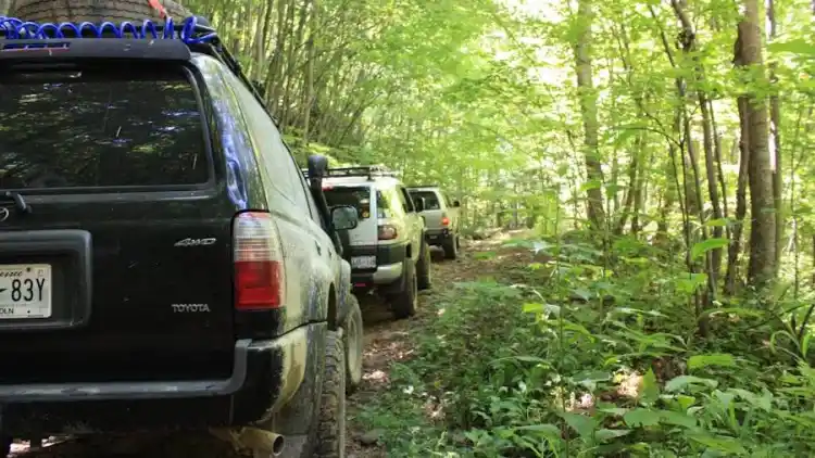 How much are the 2015 Corolla candles?guide to choosing the best