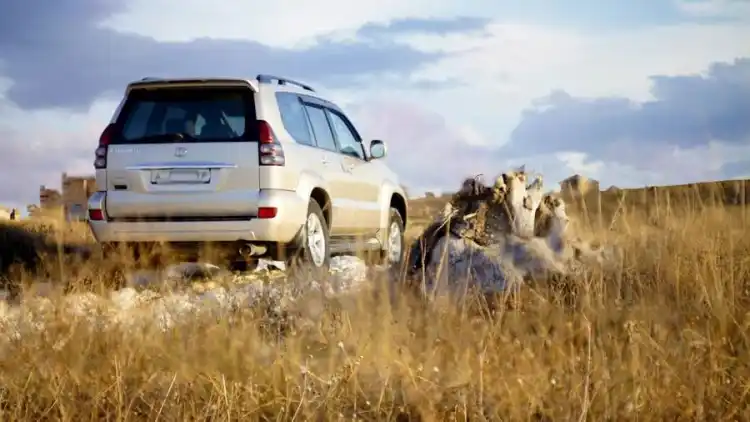 سعر تويوتا برادو 2024:كل التفاصيل قبل الشراء في 2025