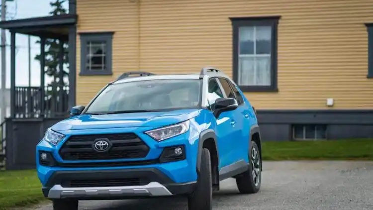 Urban Cruiser how much does it cost in? Comprehensive guide