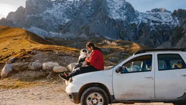 نيسان كيكس ضد نيسان روج:مقارنة شاملة لعام 2025