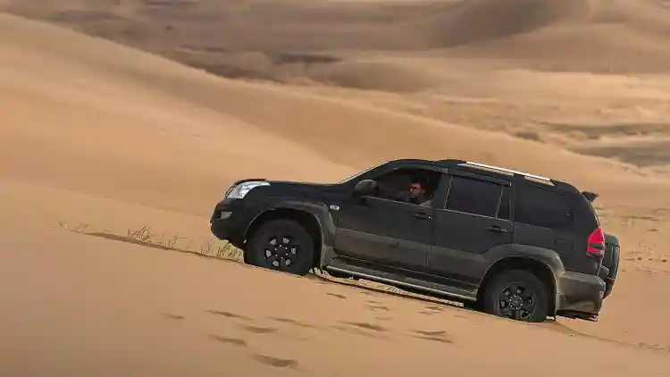 برادو EXR مقابل GXR 2025:دليل المقارنة الشامل لاختيار الأفضل