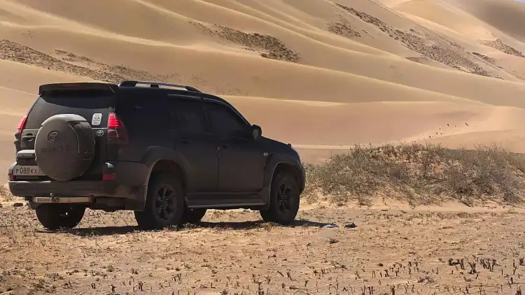 هوندا سيتي 2025:دليل شامل لقوة الحصان والكفاءة المثالية