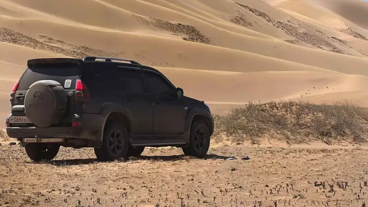 2025 Honda City Horsepower:Key Facts Driver Should Know