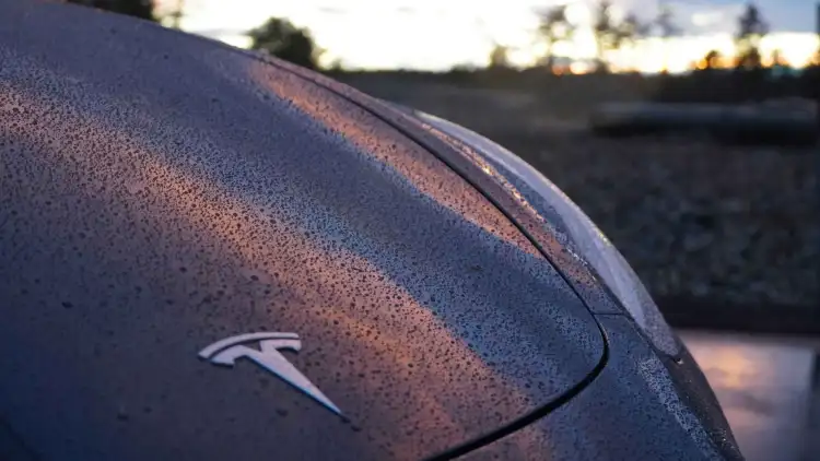 2025 Tesla Model Y Spoiler Guide:Boost Style & Performance