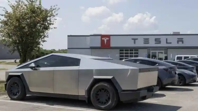 تأثير السياسة على تسلا: كيف تؤثر مواقف إيلون ماسك على مستقبل الشركة؟