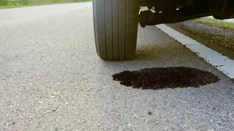 Car Fluid Leaks: Potential Causes and How to Handle Them