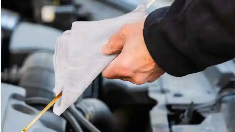 Accurate Reading of Engine Oil Level: How to Avoid Common Problems of Rapid Oil Loss?