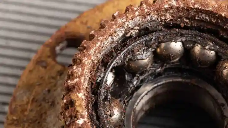 Warning Signs That Save Your Wheels: How Strange Noises Reveal Failing Wheel Bearings