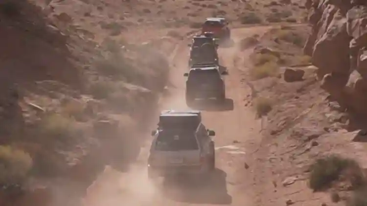 ما أفضل TRD برو اللون ؟ 