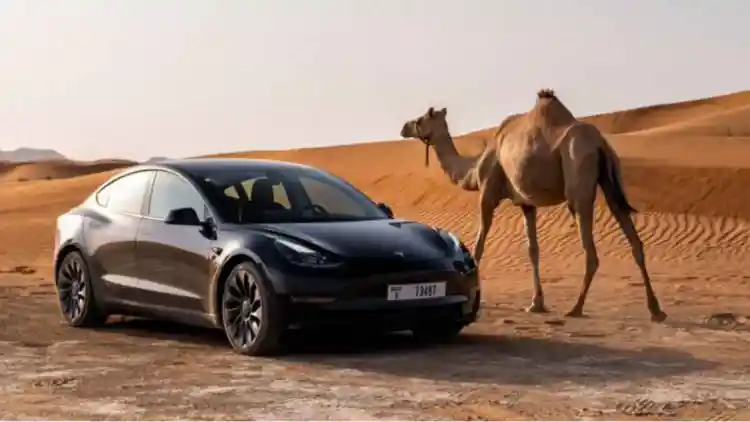 بطاريات السيارات الكهربائية تحت اختبار الشمس: كيف تواجه حرارة الإمارات أداء البطارية وطول عمرها؟