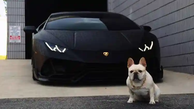 Huracan EVO just got even more aggressive.