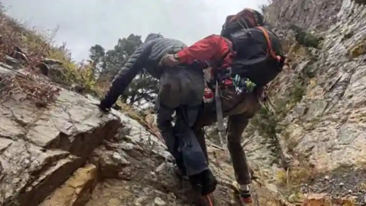 قصة نجاة مذهلة على طريق "المليون دولار": كيف أنقذت فورد إف-150 سائقها من الموت بـ300 قدم﻿