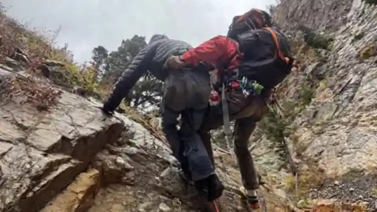 Survivor of the Cliffs: How a Ford F-150 Endured a 300-Foot Plunge on America’s Deadliest Highway