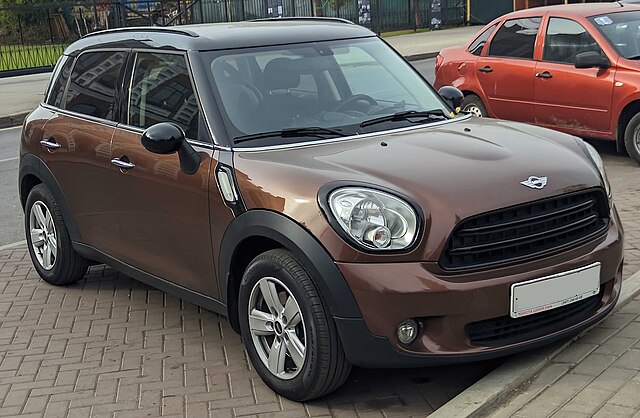 Countryman Mini Everything You Need to Know in 2025