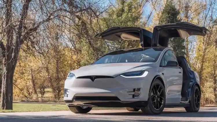 Tesla’s Electronic Door Crisis: When Technology Traps, Not Protects — How a Battery Glitch Turned a Safety Promise Into Panic