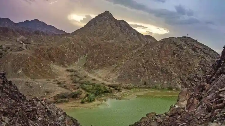 10 Unforgettable UAE Road Trips: From Towering Dunes to Hidden Mountain Dams