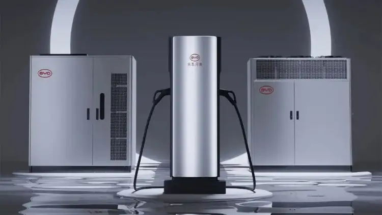 عصر الديمقراطية التكنولوجية: كيف تعيد BYD تشكيل صناعة السيارات بـ"صوت الرعد الصامت"