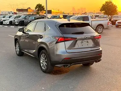 Lexus NX 2020