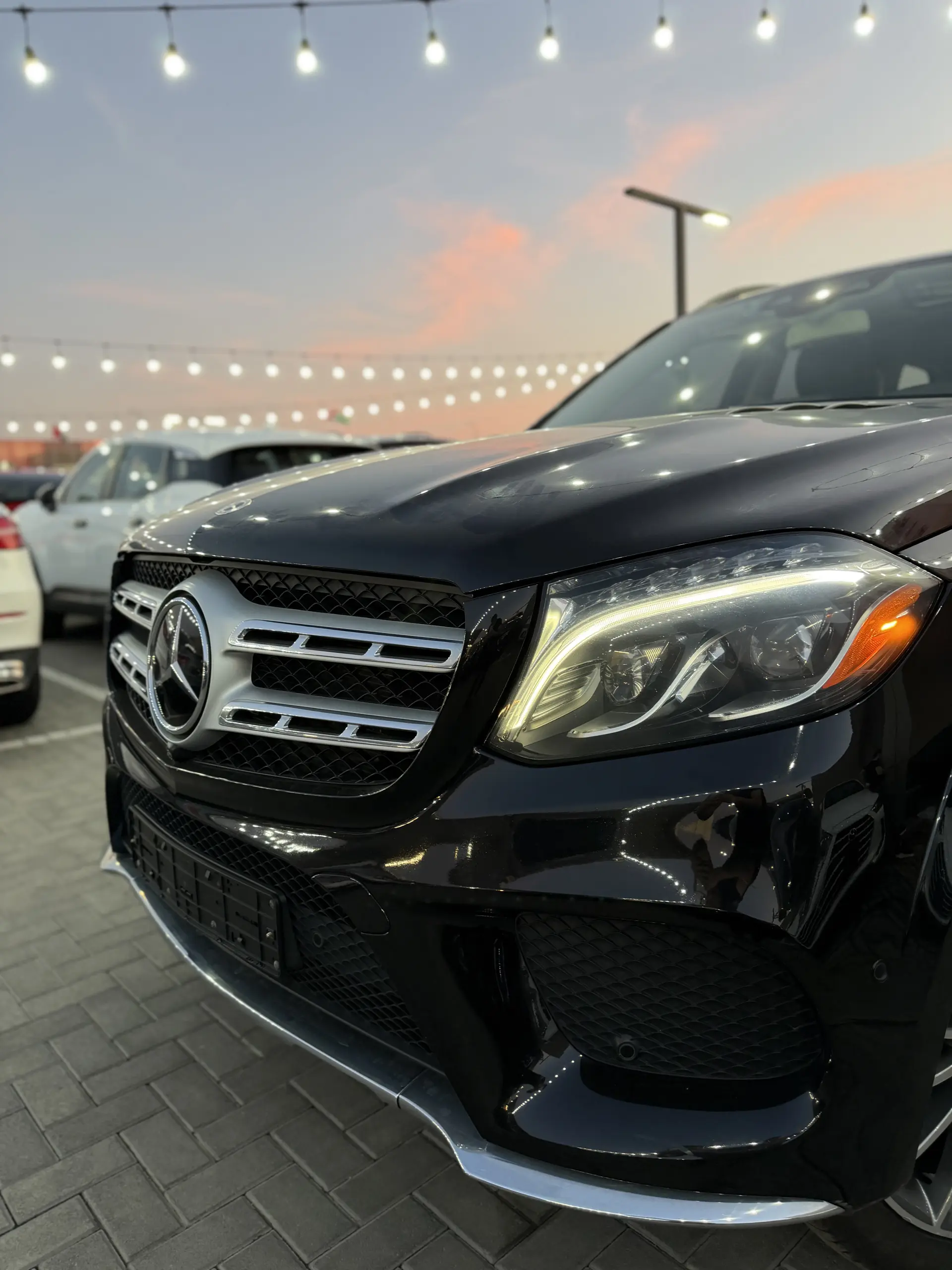 Mercedes Benz GLS Class 2019