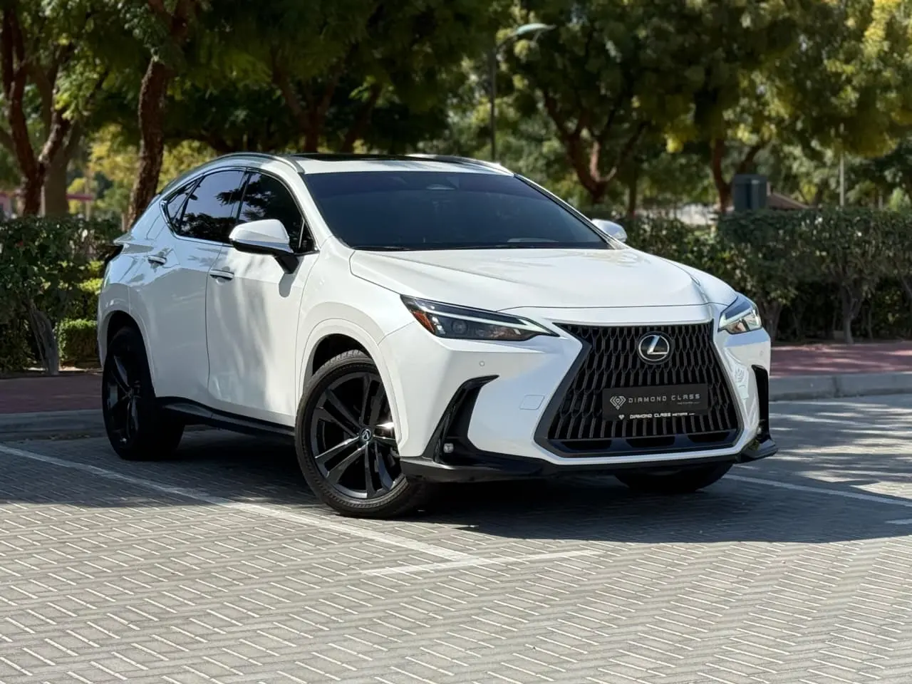 Lexus NX 2025 2.5L