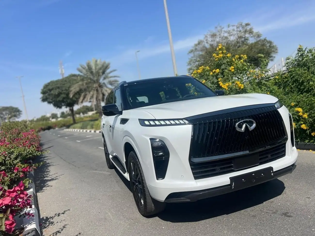 إنفينيتي QX80 2025