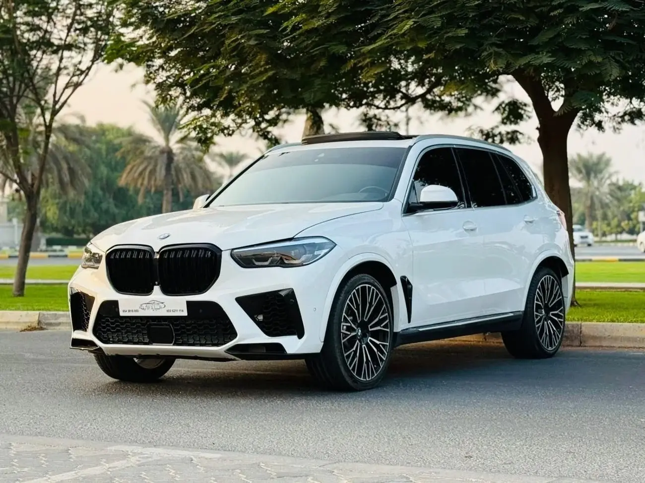 BMW X5 2021 3L