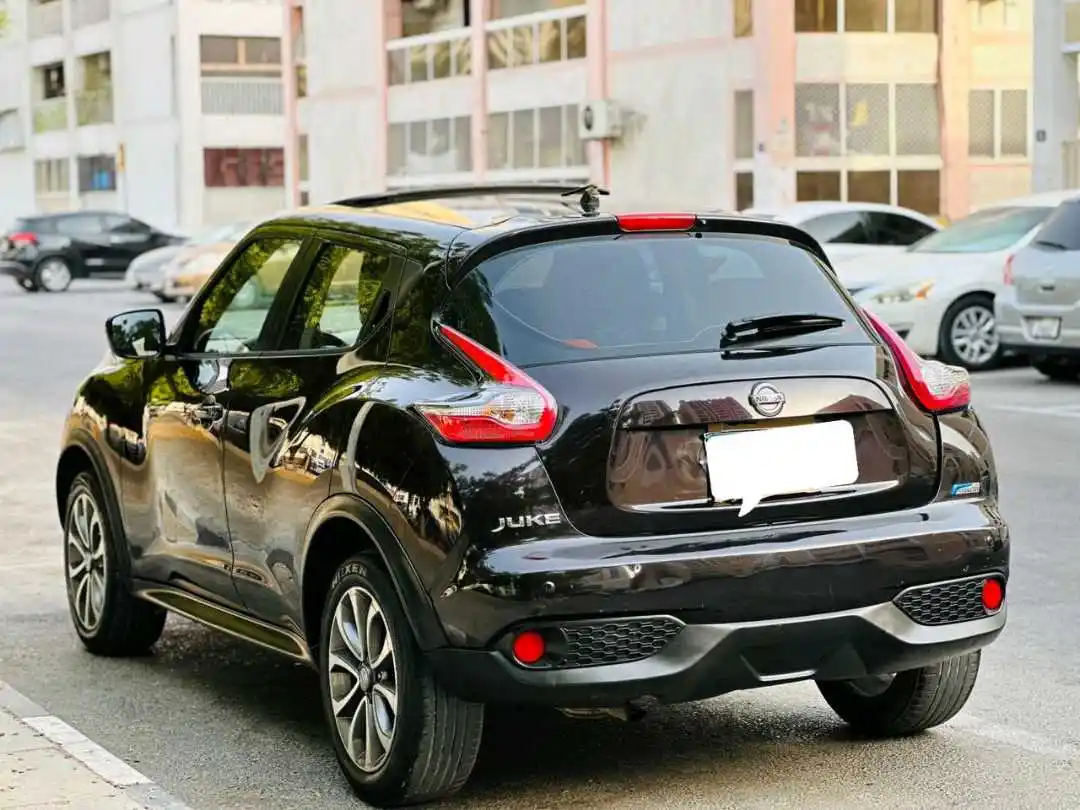 نيسان جوك 2015