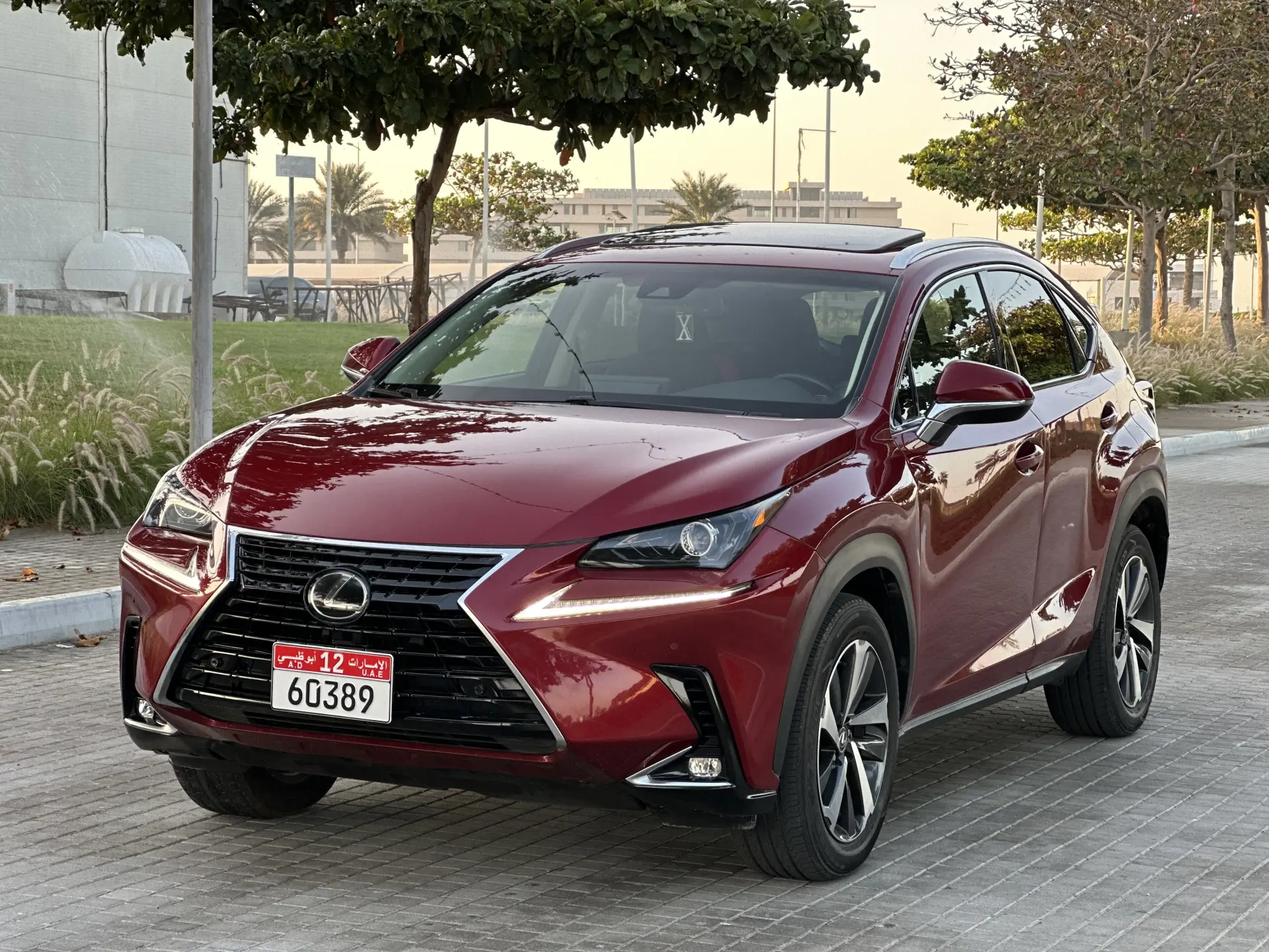 Lexus NX 2019 3000L