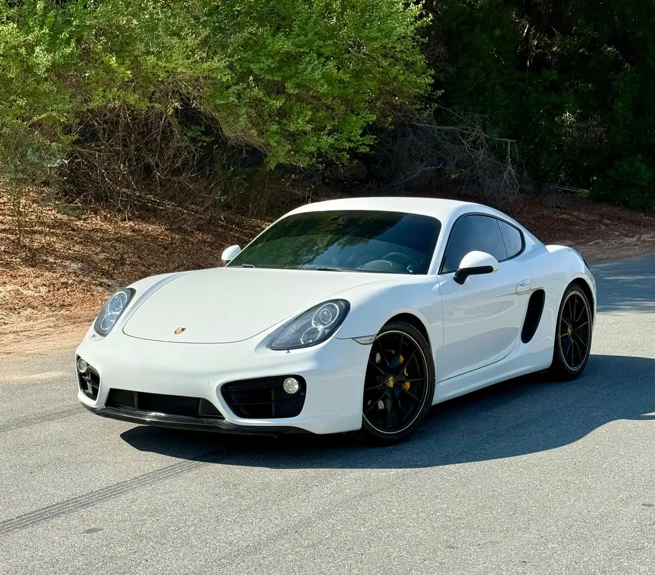 Porsche Panamera 2014 2.7L