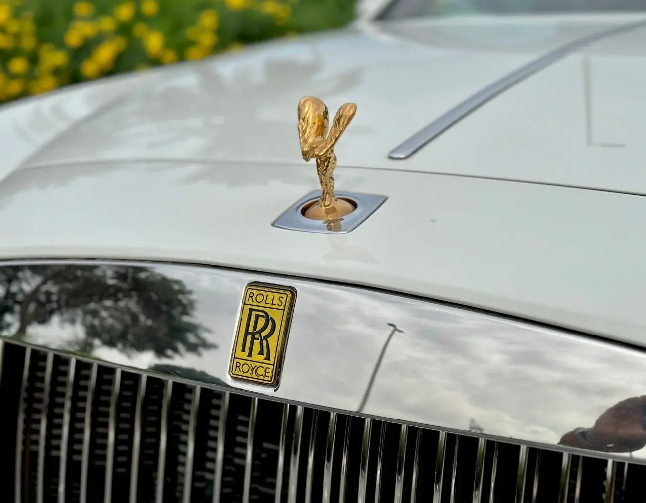 رولز رويس واريث 2014