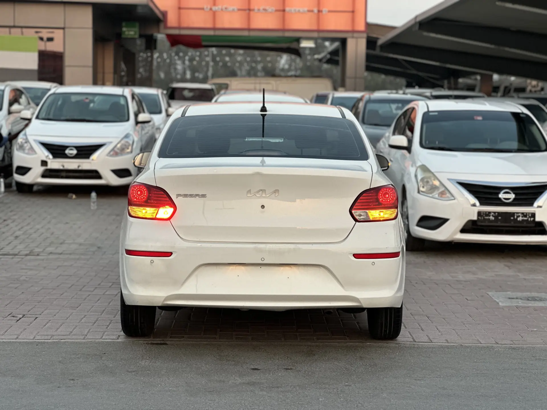 Kia Pegas 2023