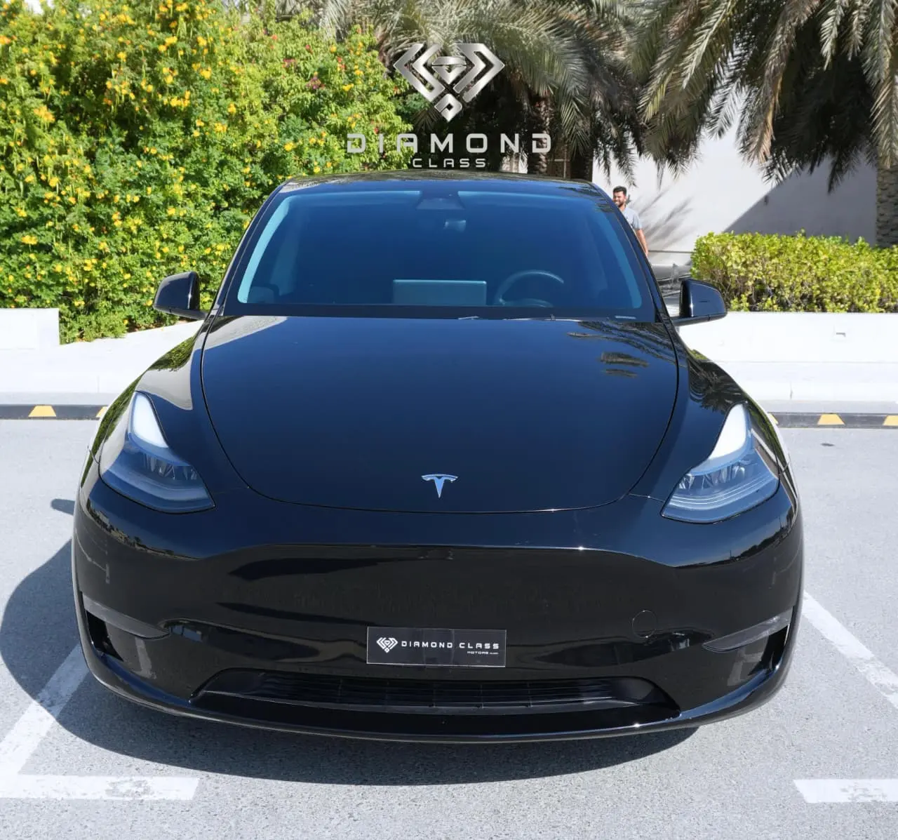 Tesla Model Y 2024 undefinedL