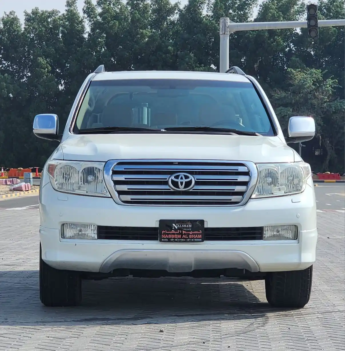 Toyota Land Cruiser 2010