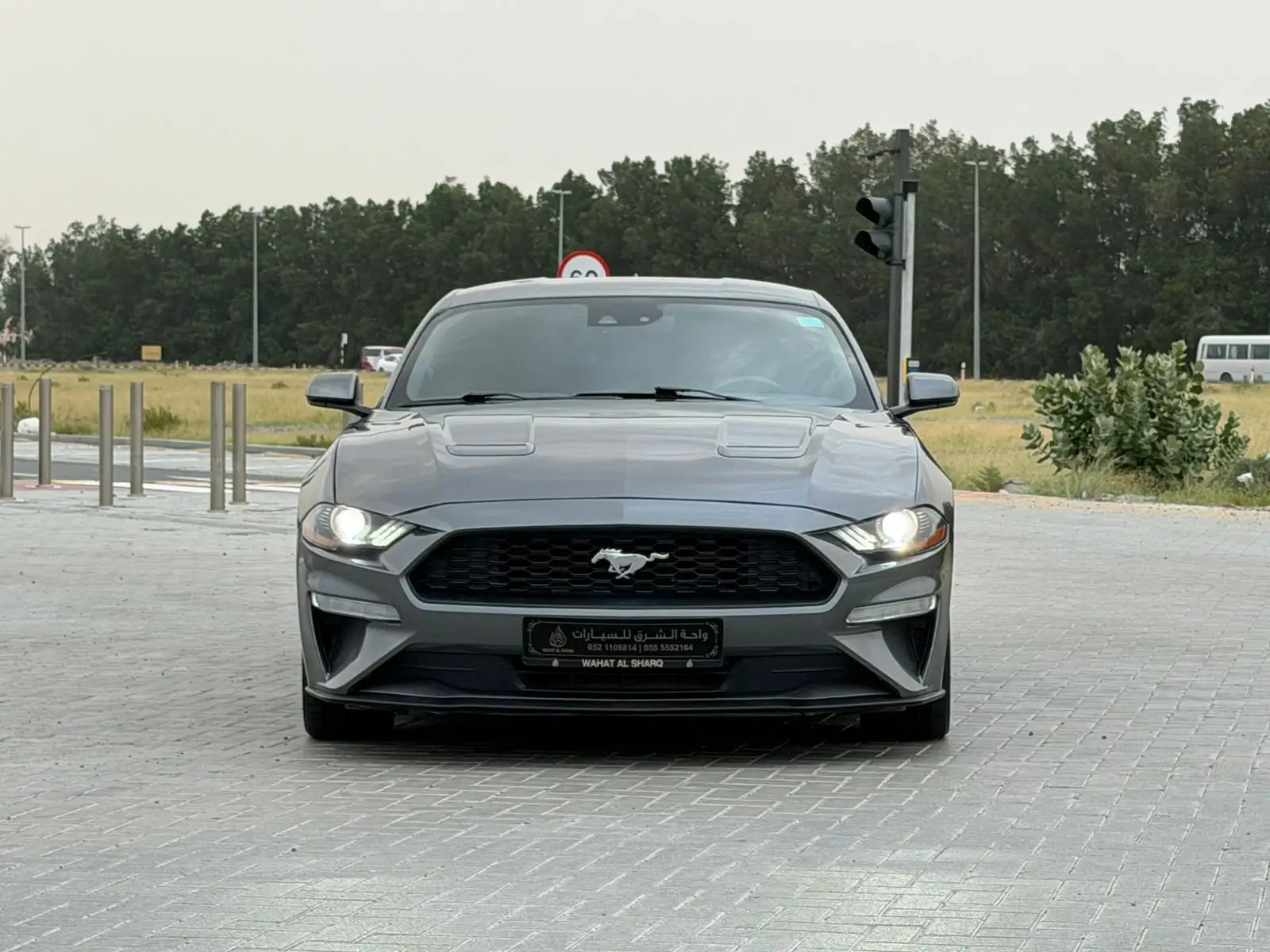 Ford Mustang 2022 2.3L