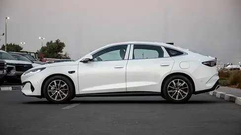 بي واي دي سيل 2025