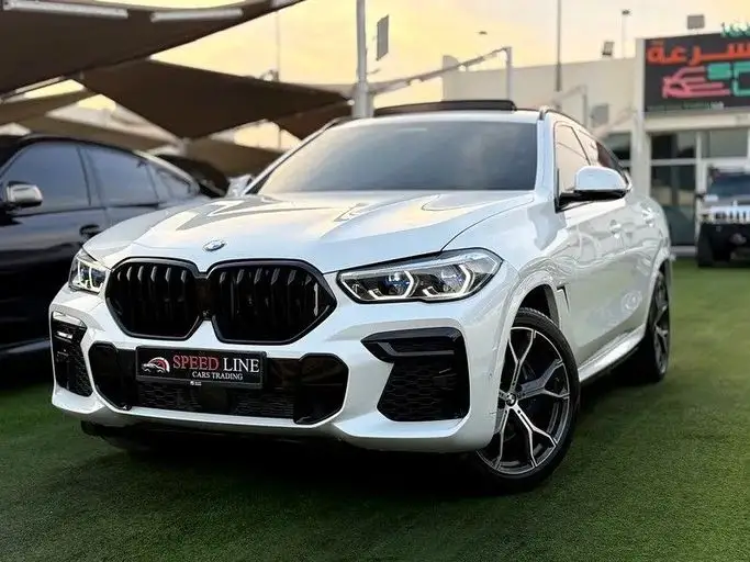 BMW X6 2022 4.4L