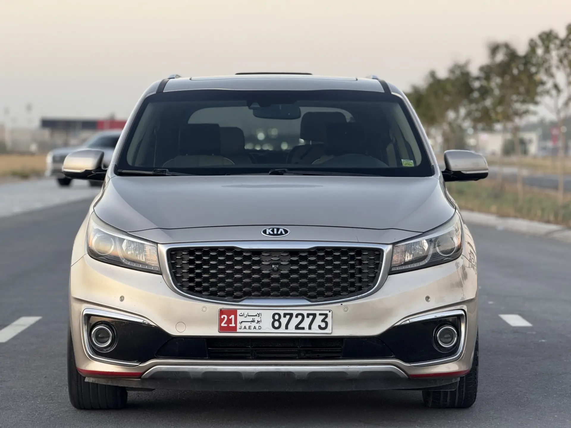 Kia Sedona 2015