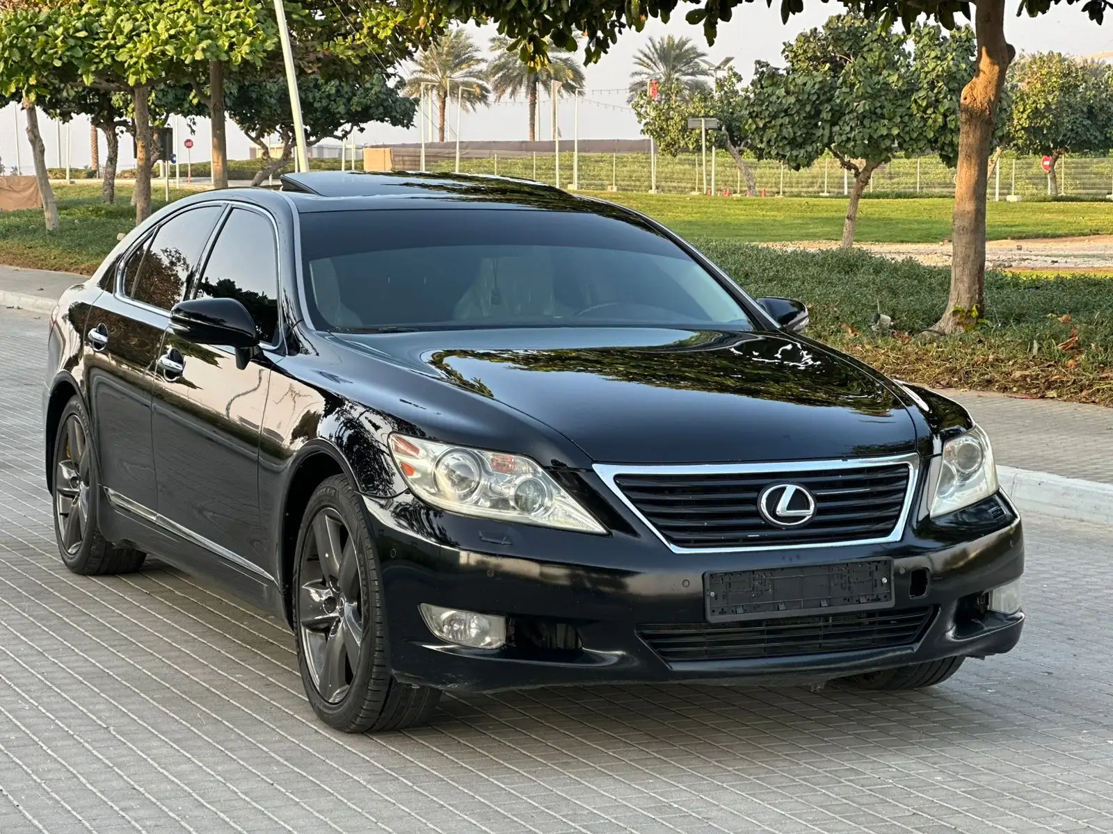 Lexus LS 2011 undefinedL