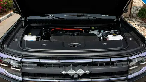  ليوبارد 5 2025