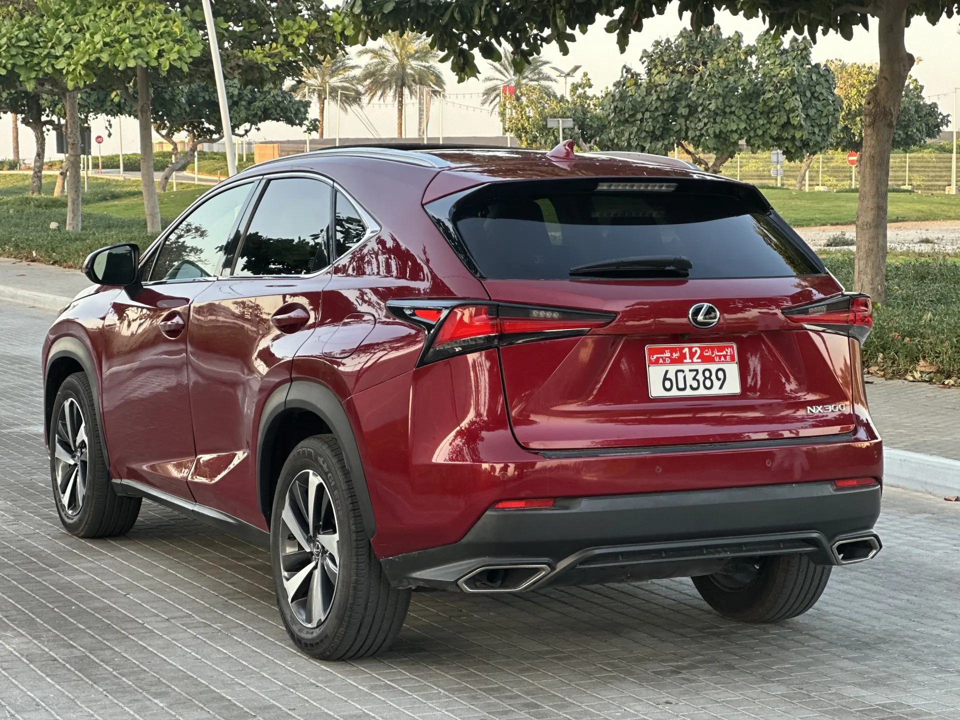 Lexus NX 2019 3000L